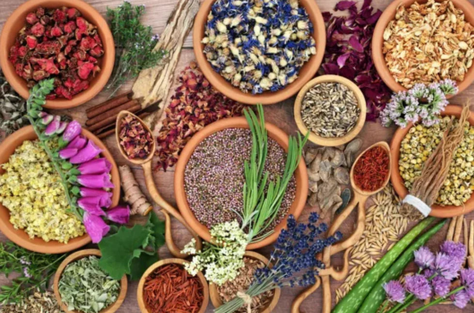 HERBAL INFUSED OIL HAIR TREATMENT